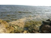 Doğu Akdeniz’de kirlilik gözle görülür hale geldi