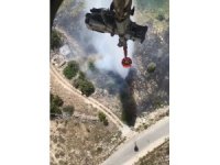 Bahçe yangını hava ve karadan müdahale ile söndürüldü