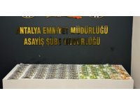 Antalya’da evden 2 milyon liralık altın ve döviz hırsızlığı