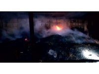 Adana’da yangında 5 inek telef oldu