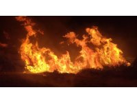 Manavgat’taki yangında 8 dönümlük tarım arazisi zarar gördü