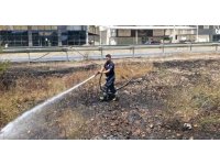 Manavgat’ta söndürülmeden atılan sigara sazlık yangınına neden oldu