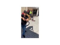 Eve giren yılanı yakalamak isterken parmağını kaptırdı