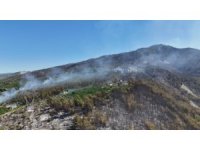 Hatay’da orman yangının etkili olduğu bölge havadan görüntülendi