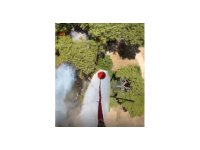 Antalya Muratpaşa’da orman yangını