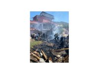 Ahırda yangın çıktı 30 hayvan telef oldu