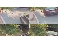 Aracın üzerinden geçtiği köpek telef oldu