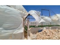 Mersin’de rüzgar seralarda hasara yol açtı