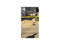 Isparta’da patpat devrildi: 2 ölü, 1 ağır yaralı