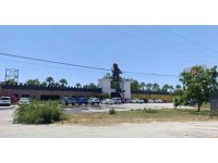 Aslanın kaçtığı hayvanat bahçesi yapılacak denetime kadar mühürlendi