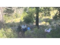 Ormanda piknik yapan 4 şahsa yasal işlem yapıldı