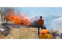 Serik’te çalılıklarda başlayan yangın 2 seraya zarar verdi