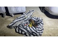 Çöp konteynerindeki yangın sonrası köpeğin telef olduğu ortaya çıktı