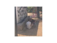 Alacaklı olduğu kişiyi bacağından vurup başında bekleyen şahıs tutuklandı