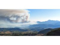 Suriye’den Yayladağı’na sıçrayan alevler kontrol altına alındı