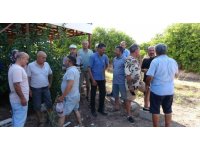 Mersin’de arazi dolandırıcılığı iddiası: Köylüler organize çetenin hedefi oldu