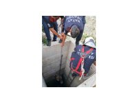 Antakya’da 10 metrelik kuyuya düşen köpeği itfaiye kurtardı