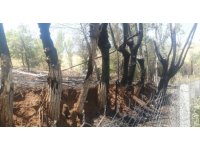 Bir kıvılcımla yangını başlattı, alevlerin büyüdüğünü görünce kaçtı