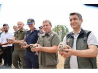 Adana’da doğaya 500 keklik salındı