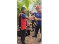 Kuyuya düşen yavru kediyi itfaiye personeli, oksijen tüpü kullanarak kurtardı