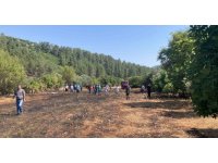 Bucak’ta çıkan arazi yangınında 1 dönüm alan yandı