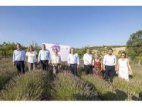 Mersin’de ’7. Lavanta Hasat Şenliği’ düzenlendi