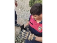 Rögara düşen yavru kediyi itfaiye ekipleri kurtardı