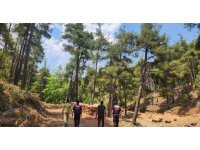 Mersin jandarmasından ormanlara sıkı koruma