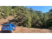 Eğirdir’de ormanlık alanlarda sıkı denetim