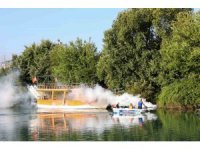 İstilacı tür olarak biliniyor, yumurtaları altı ay kuraklığa dayanabiliyor