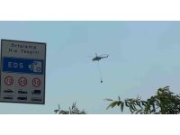 Antalya’da bir orman yangını daha