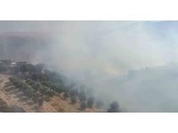 Antalya’da evlere yakın bölgede yangın