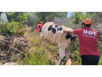 Antalya’da yerleşim yerlerini tehdit eden orman yangınında bazı evler tahliye edildi