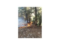 Kozan’da ormanlık alanda yangın çıktı