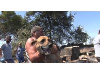 Aksu’da yürek yakan yangında evler hasar gördü, hayvanlar telef oldu