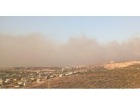 Silifke’de orman yangını