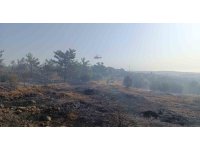 Mersin’deki orman yangını: Havadan müdahale başladı