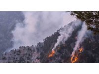 Kozan’daki orman yangını kısmen kontrol altında