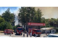 Antalya’da ormanlık alanda yangın paniği