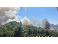 Serik’te orman yangını