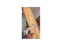 Uçağın kargo bölümüne verdiği evcil hayvanlarını teslim alınca çılgına döndü