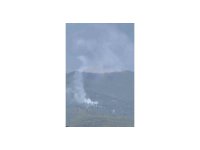 Adana Aladağ’da orman yangını çıktı