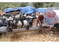 Belediyenin sulama tankeri desteği Mersin’deki Yörüklerin yüzünü güldürdü