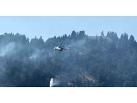 Osmaniye’nin çıkan orman yangını devam ediyor