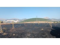 Yüksek gerilim hattına çarpan karga, 2 dönüm alanı kül etti