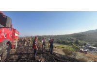 Defne’de makilik alanda yangın çıktı