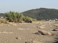 Antalya’da caretta caretta yuvaları zarar gördü