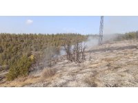 Belen’de ormanlık alanda yangın çıktı