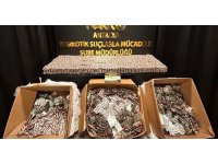 Antalya’da son 1 haftada uyuşturucu operasyonlarında 22 kişi tutuklandı