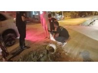 Kanalizasyon borusuna sıkışan yavru köpeği itfaiye kurtardı